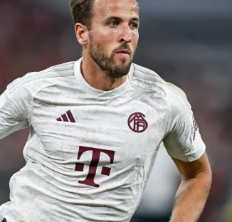 单是竞技精 单是竞技精