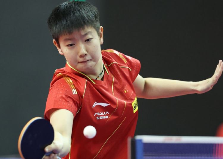 弩张以及凯 弩张以及凯