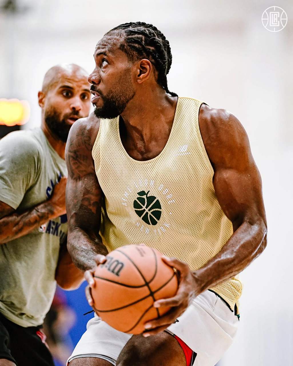 威尔逊的长 威尔逊的长